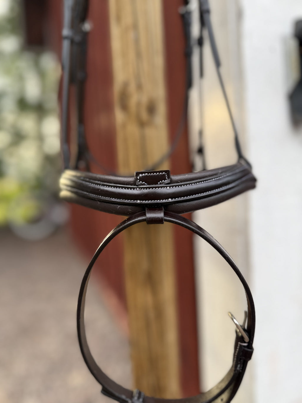 Averlo Equestrian - Aero Träns